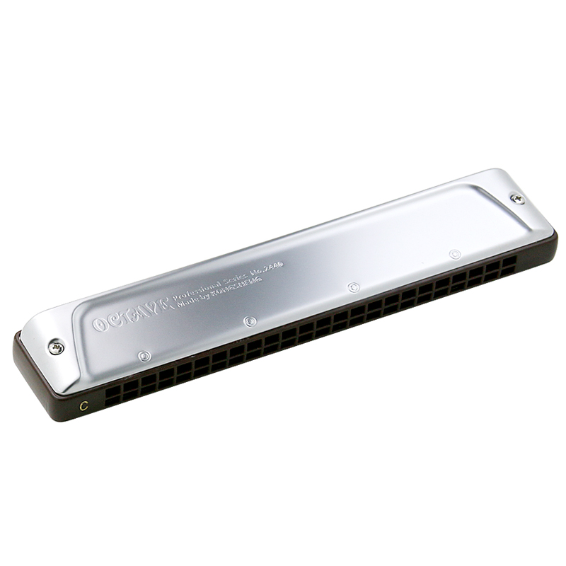 孔声2020年新款24孔重音口琴初学入门进阶高级口琴