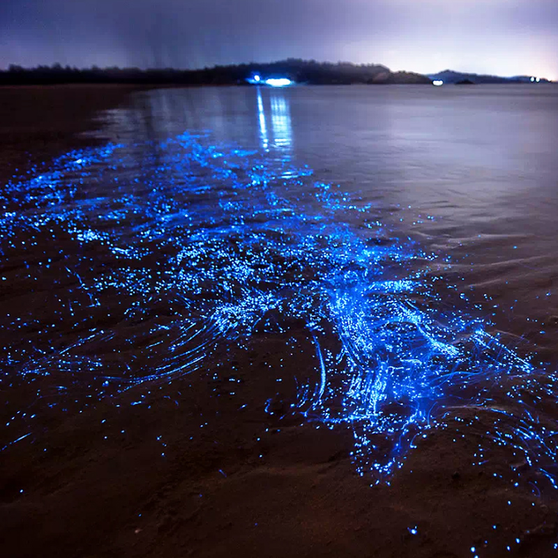 平潭岛2天1晚漳州厦门自由行抖音网红象鼻湾蓝眼泪舒适住宿专车接