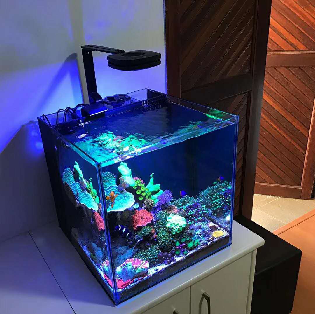 蓝甸nano背虑水族箱桌面海海水鱼缸背虑缸超白玻璃桌面缸