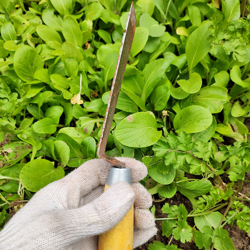 野菜铲子草铲神器铁铲荠菜小铲小号户外家用铲子