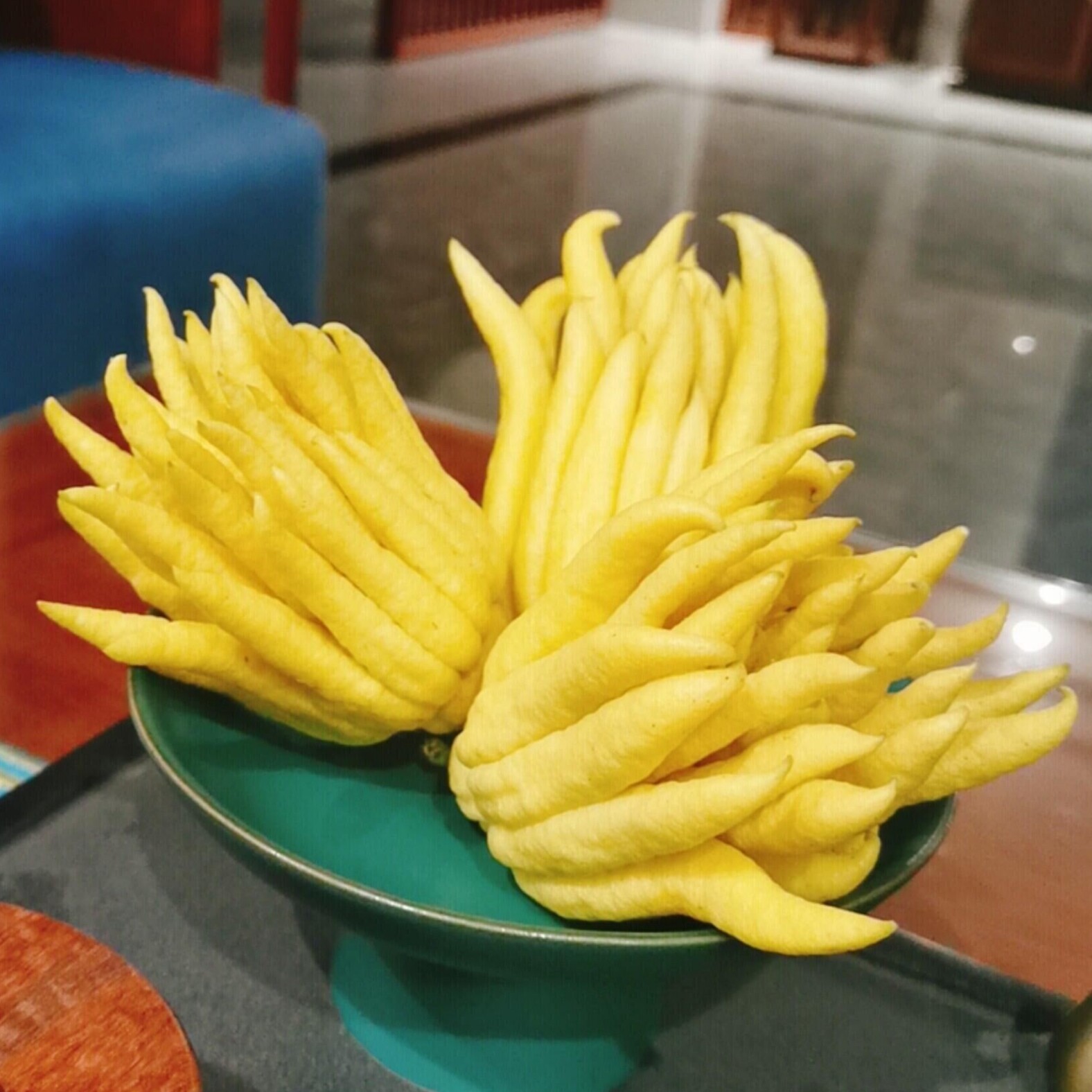 佛手水培手中金华新鲜带枝柑香橼清闻香把玩佛手果