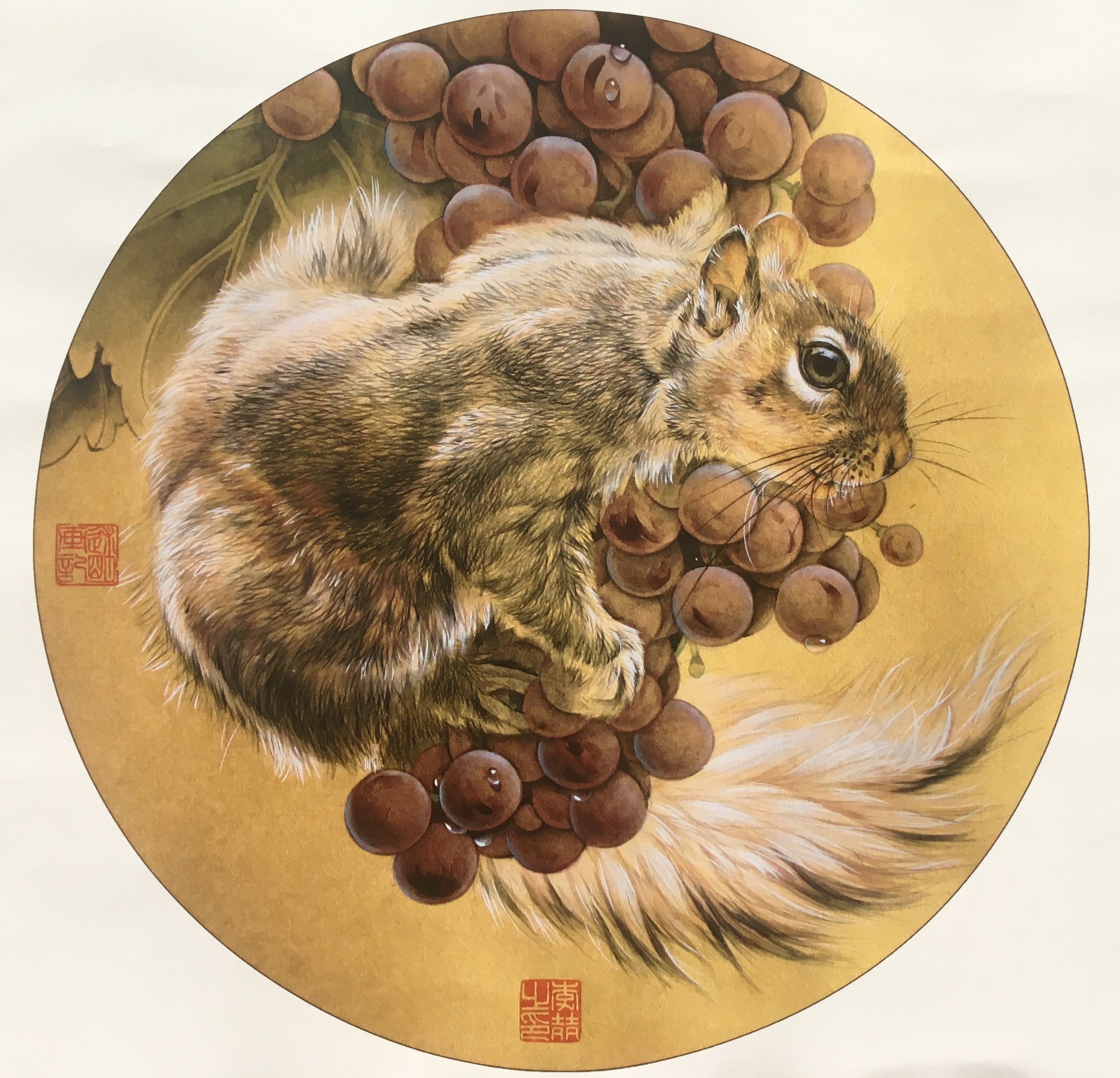 工笔花鸟图案国画底稿葡萄松鼠团扇白描打印稿国画
