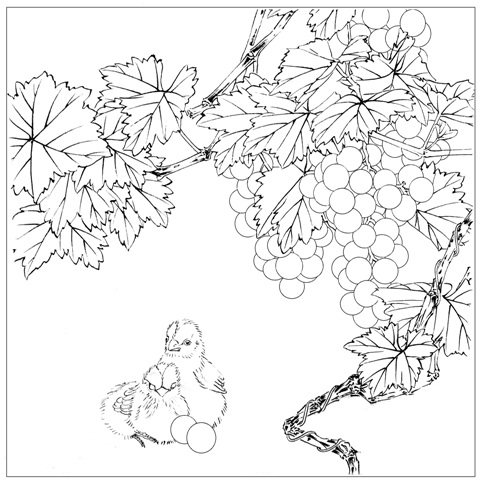 工笔花鸟国画底稿葡萄小鸡斗方白描打印稿宣纸国画