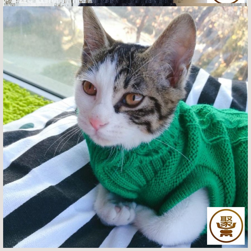 宠物手工毛衣编织小猫猫咪服可爱幼猫猫狗狗宠物服装