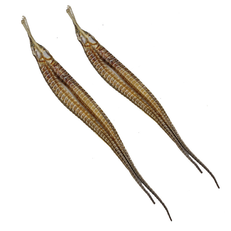 人工六角大海海龙中药材干货养殖男性人参煲汤其他药食同源食品