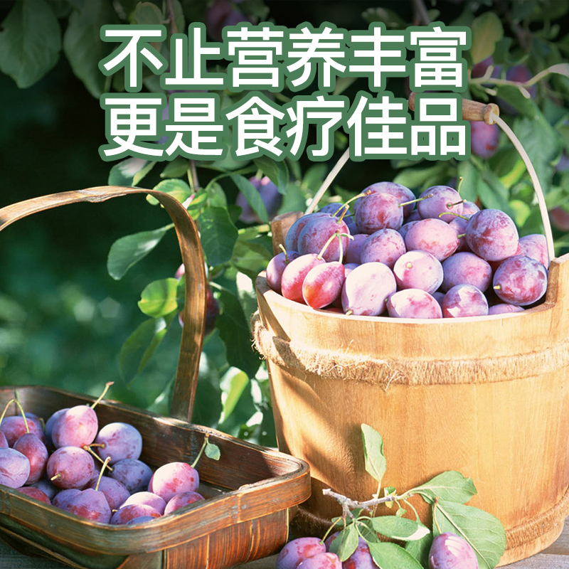 新疆西梅喀什法兰西小西孕妇应季水果纯甜李子李子