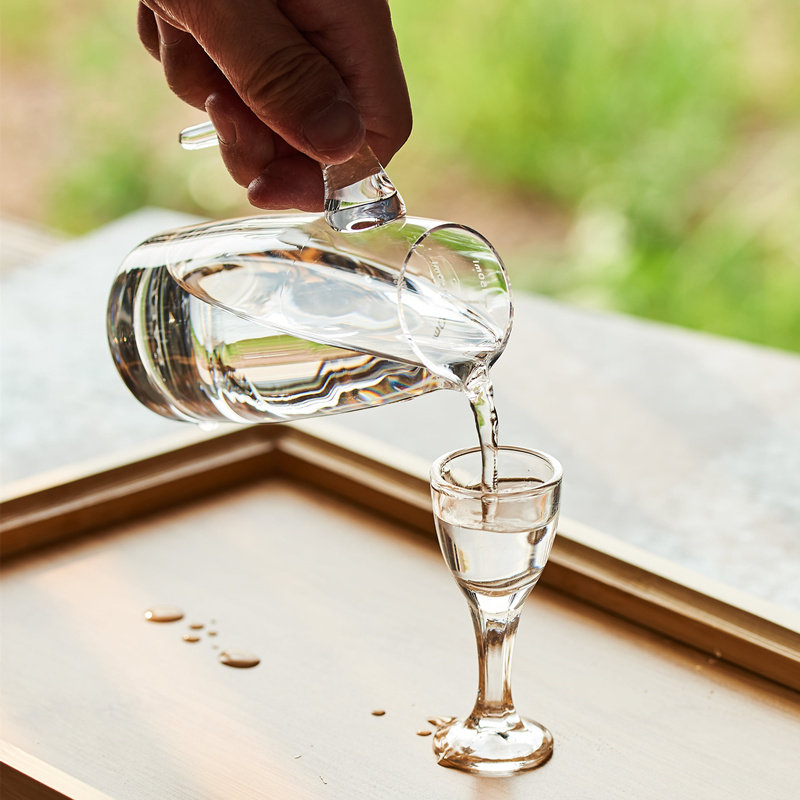 饭店白酒酒器个性创意创意家家用毫升小扎壶酒吧家用酒壶