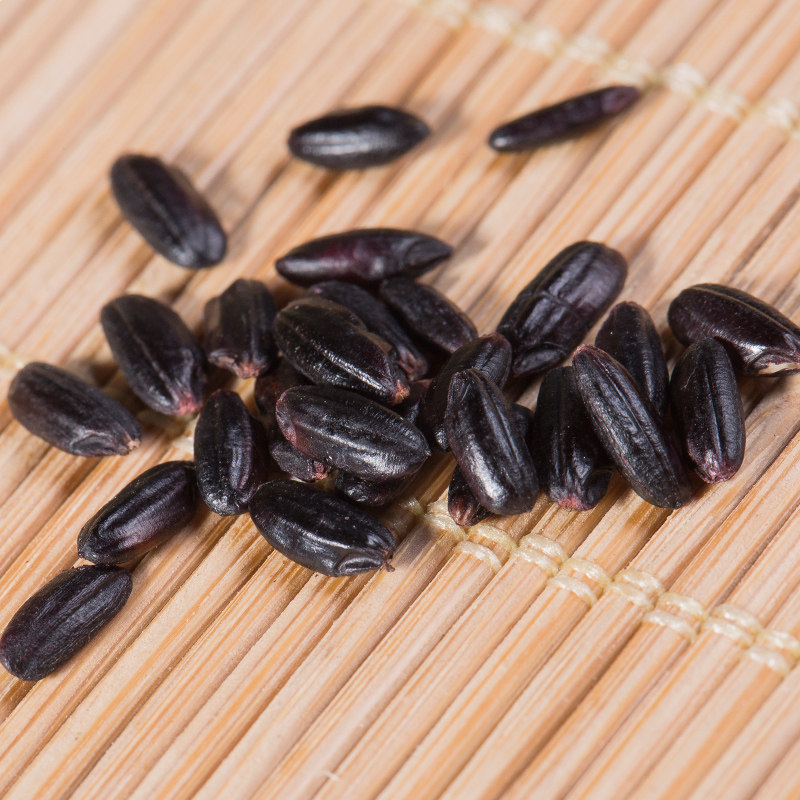 绿农晓镇黑米黑稻米黑大米1kg2斤农家糙米新货五谷杂粮黑米粥真空