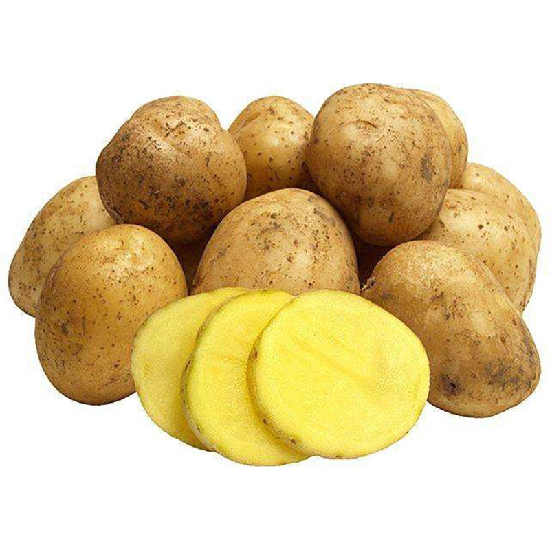 土豆高山品种马尔科洋洋芋带箱5kg土豆