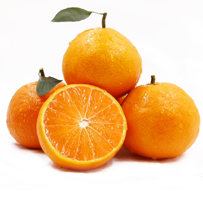 现摘现发四川爱媛38号手剥果冻橙5斤