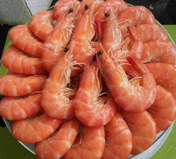 新鲜舟山红头鲜活海鲜水产冷冻大头虾红虾野生冻虾