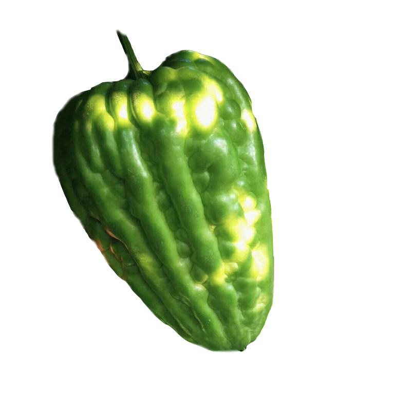 正宗杜阮凉瓜应季食材特产大顶苦瓜圆形粤菜新鲜其它