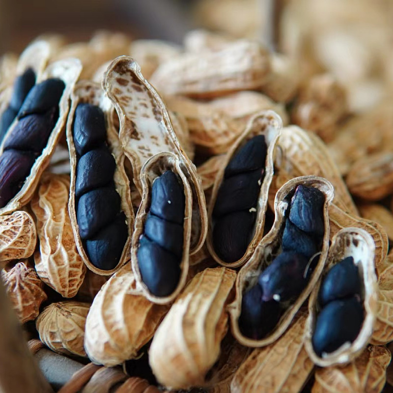 云南特产富硒黑花生米味甜带壳七彩花生特级五彩饱满种子零食包邮