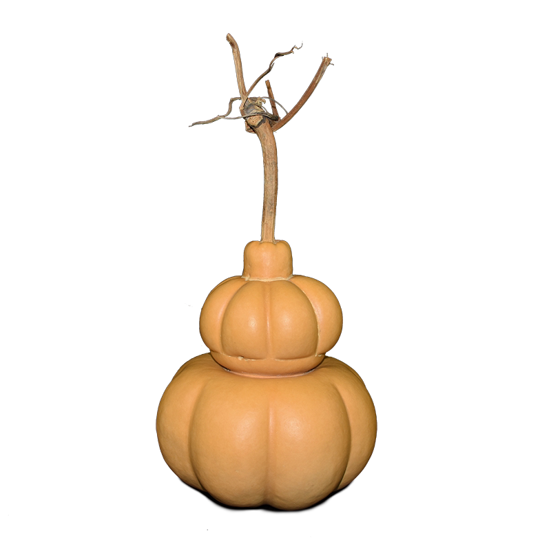 花墩葫芦收藏级工艺品天然异形勒扎精品葫芦把件文玩小葫芦把玩件