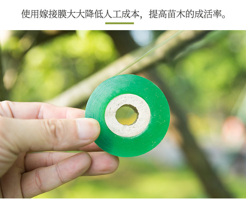 嫁接接树缠绕果树薄膜胶带免拆自粘透明拉伸其它园艺用品