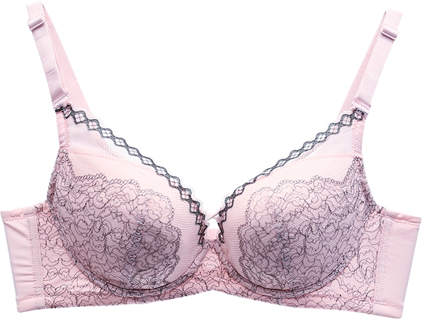 都市丽人官方旗舰店内衣女舒适聚拢性感蕾丝文胸