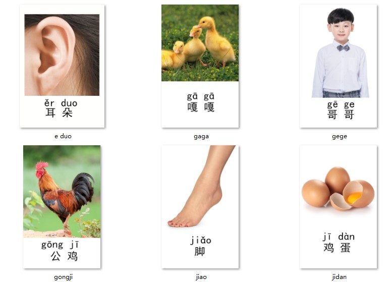 发音卡片式早教发育迟缓自闭症儿童语言训练aba玩具挂图