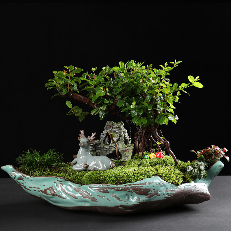 中国国风创意哥窑大盆禅意造景花盆紫砂黑陶花盆