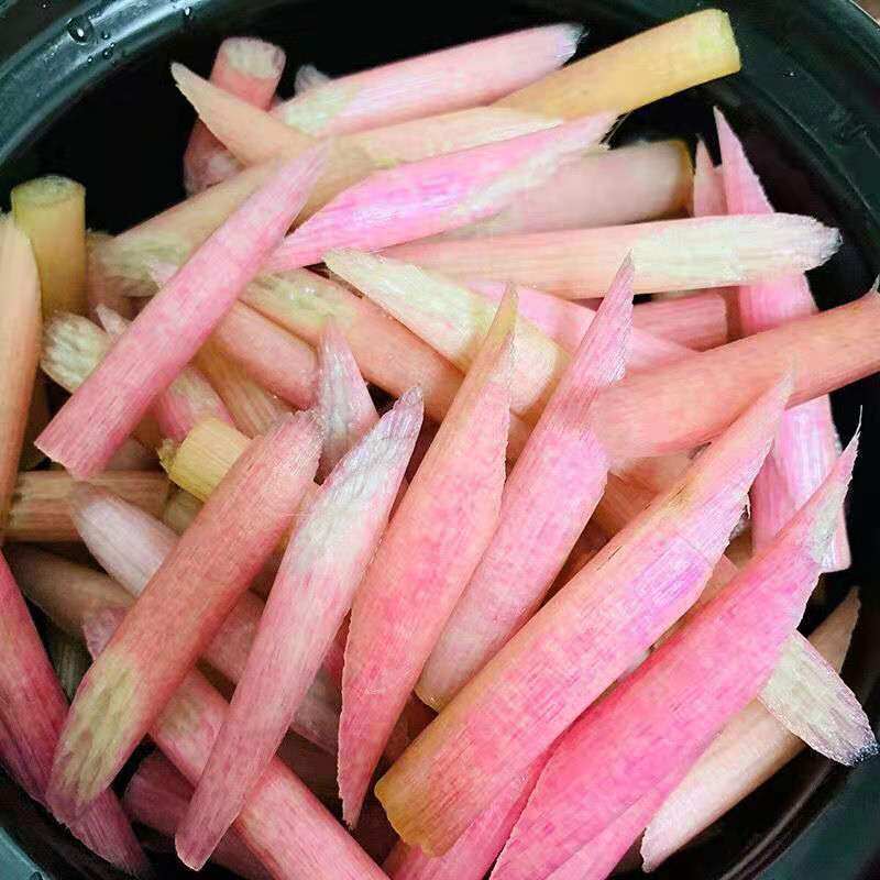 鸡头苞梗新鲜湖北特产水生蔬菜非藕尖芡实梗莲藕