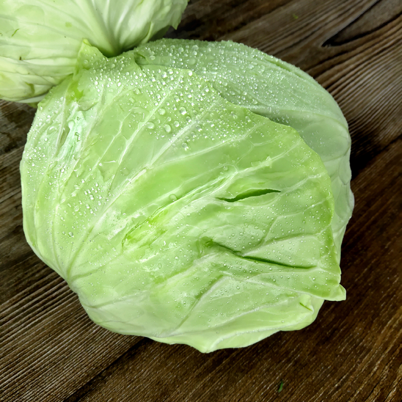 新鲜卷心菜750g 绿甘蓝蔬菜椰菜大头菜扁包菜卷芯球菜 5件包邮
