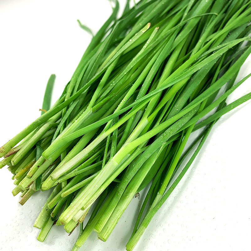 新鲜韭菜500g时令蔬菜饺子配料鲜嫩味香烧烤叶菜类