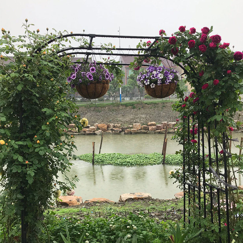 花架月季拱门爬藤藤架葡萄架庭院花园室外不锈钢花架