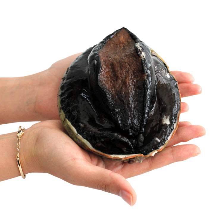 鲍鱼鲜活澳洲超大一头活体澳包绿边黑金海鲜鲍鱼