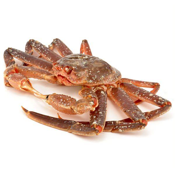 鲜活俄罗斯松叶蟹活体长脚蟹新鲜板蟹蟹腿棒红毛蟹帝王蟹海鲜水产