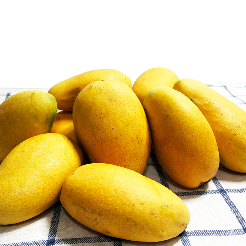 小台农芒果小台芒新鲜应季水果海南金芒果含箱10斤小芒果多省包邮