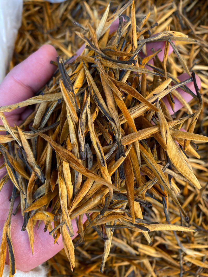 红茶大金金针云南滇红散装500g凤庆金芽直条滇红