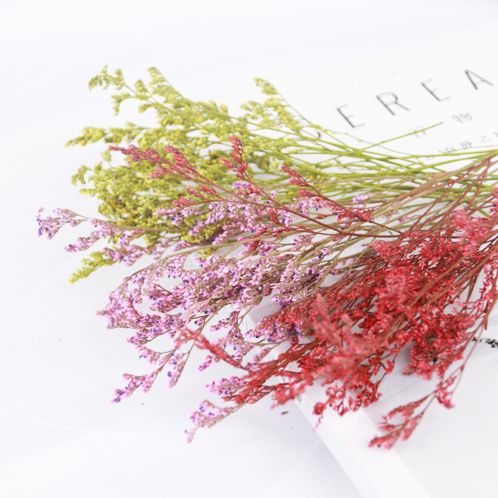 干花美沐彩色情人草天然风干diy手工相框香薰干花