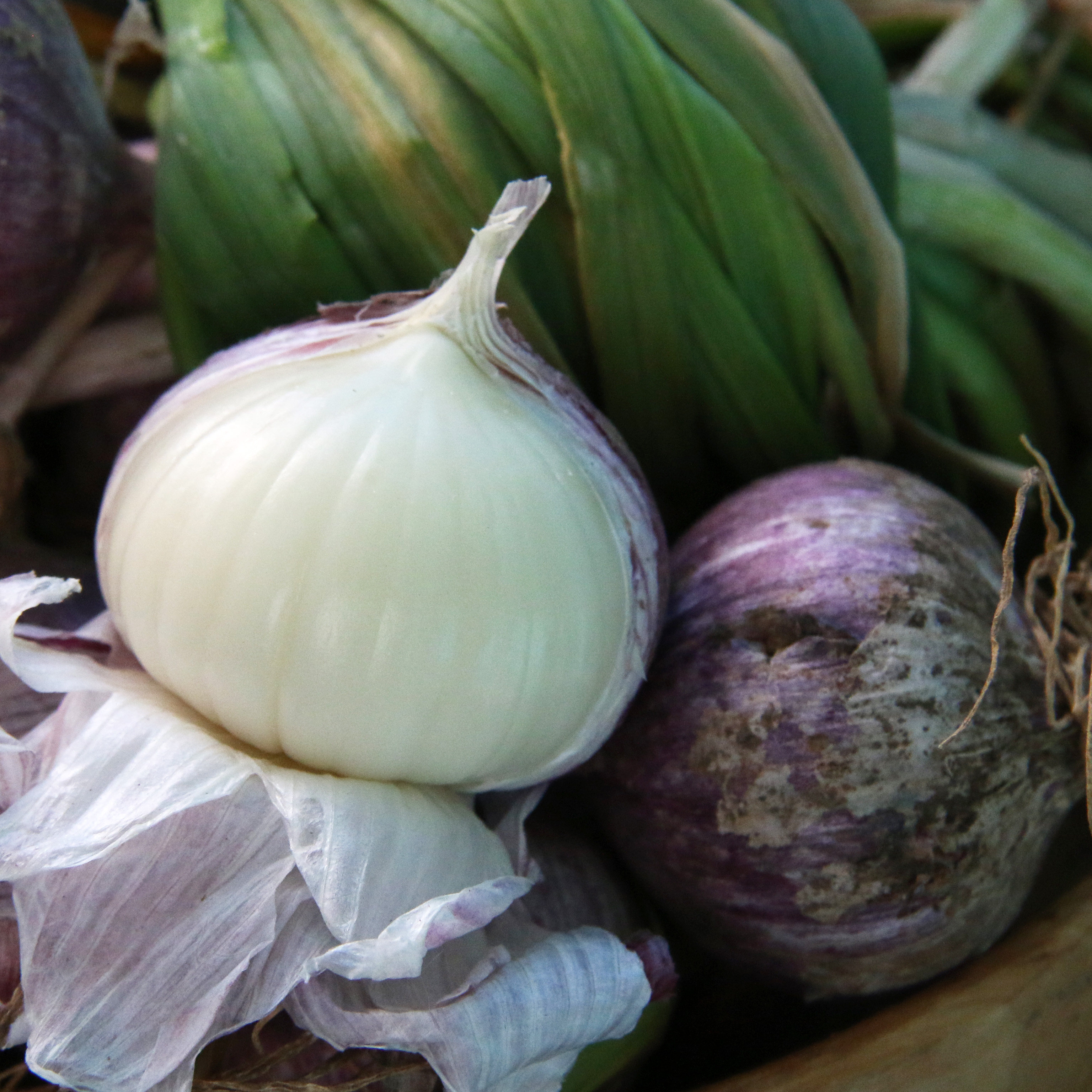 2020大理紫皮独头蒜云南紫皮蒜大独蒜头 新蒜大蒜2斤大理蒜头包邮