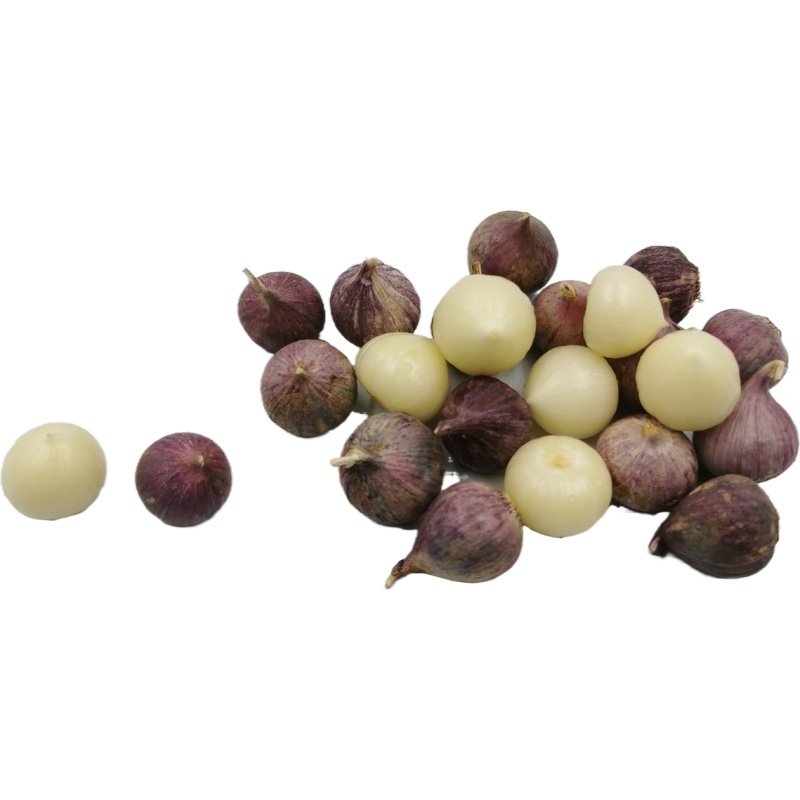 2020新鲜大理紫皮独蒜珍珠小独蒜云南独头蒜新蒜2斤独蒜头包邮