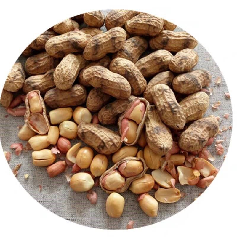 花生农家原味现炒带壳铁锅沙土炒熟新小小白花生