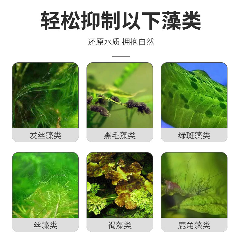 藻剂进口光学青苔绿藻鱼缸藻去苔剂毛藻丝藻灭除藻剂