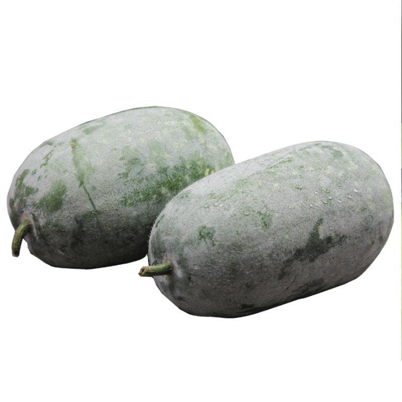 冬瓜云南新鲜现摘迷你东瓜农家自种粉糯清香其它