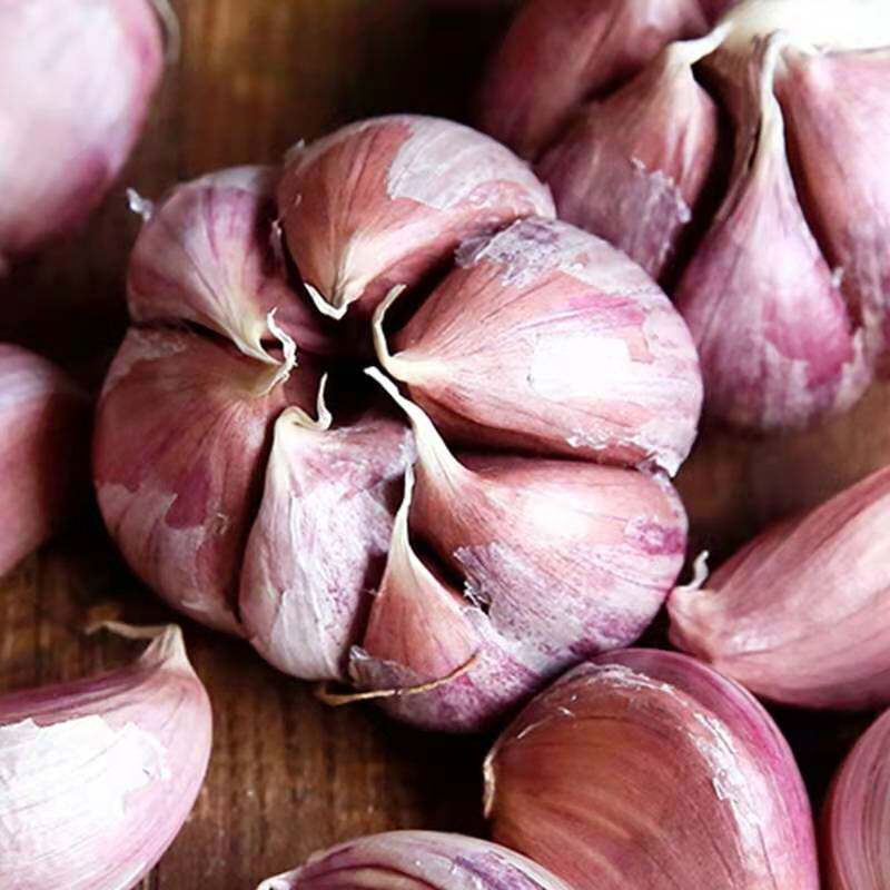 大蒜云南紫皮蒜瓣多瓣新鲜蔬菜种植红蒜土香大蒜