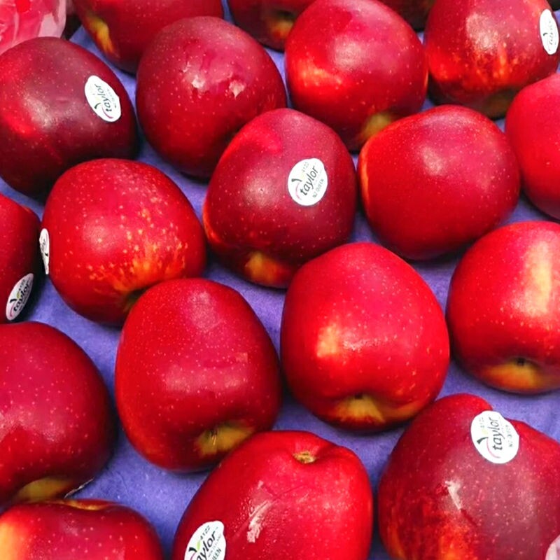 红玫瑰苹果10个装单果约200克应季水果新鲜脆甜苹果