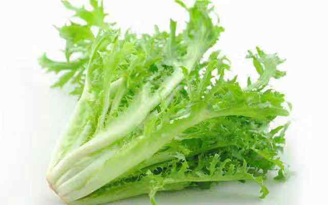 九芽新鲜黄心九芽菜苦菊苦菊苣新鲜蔬菜西餐沙拉带箱250g