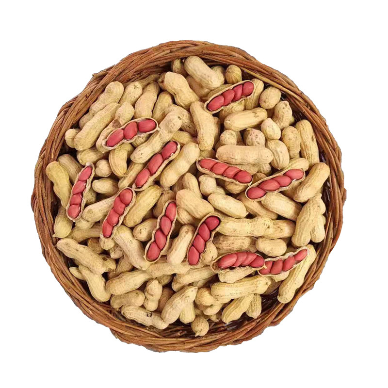 花生东北包邮笨新货皮带鲜红红衣新鲜红花生果花生花花生