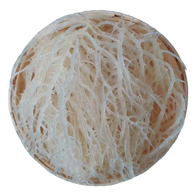 石花菜花菜凉拌淡干龙须菜干货海石花海藻鹿角菜海海带