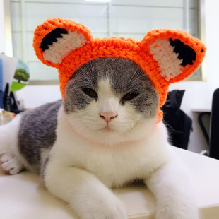 猫咪头套防咬可爱宠物帽子小奶猫头饰编织针织草帽搞怪卡通毛线帽