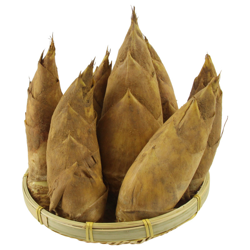 顺丰包邮新鲜冬笋现挖5斤大笋福建建瓯野生竹笋