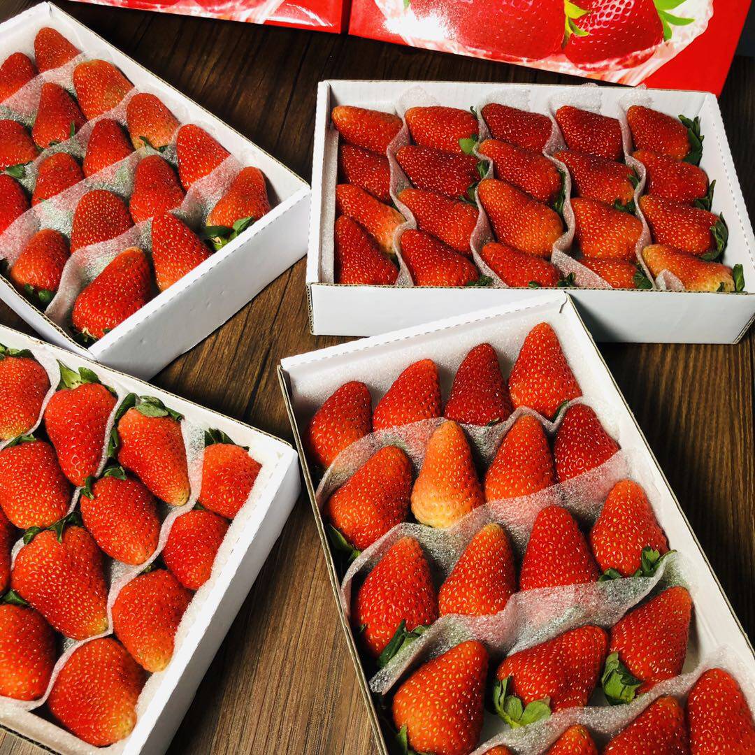 新鲜草莓四季烘焙奶茶蛋糕双流夏季草莓同城水果时令鲜草莓酸草莓