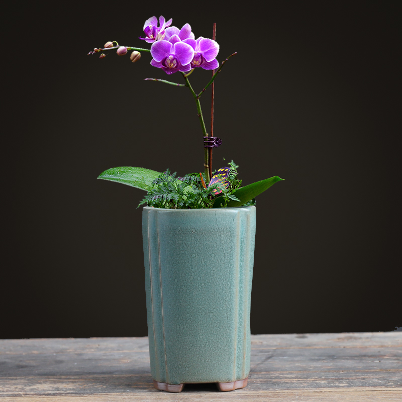 花盆蝴蝶兰紫砂陶瓷复古四方方高盆景兰花君子兰花盆