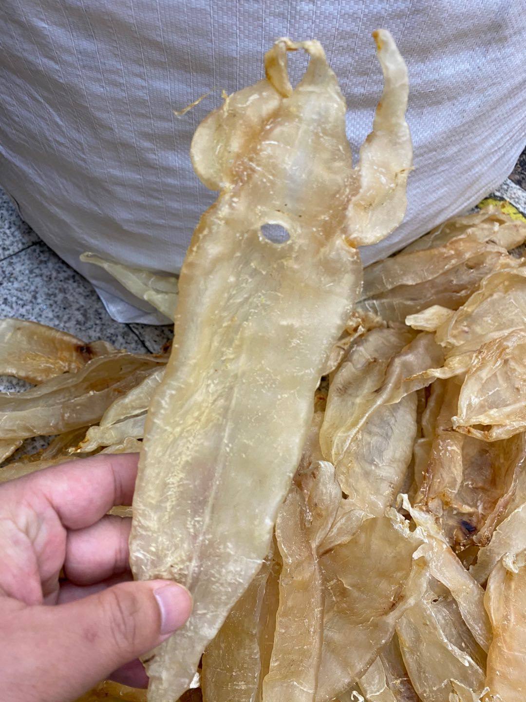 5头阴阳北海鱼胶干货鱼鳔花胶海产鱼肚鱼泡花胶