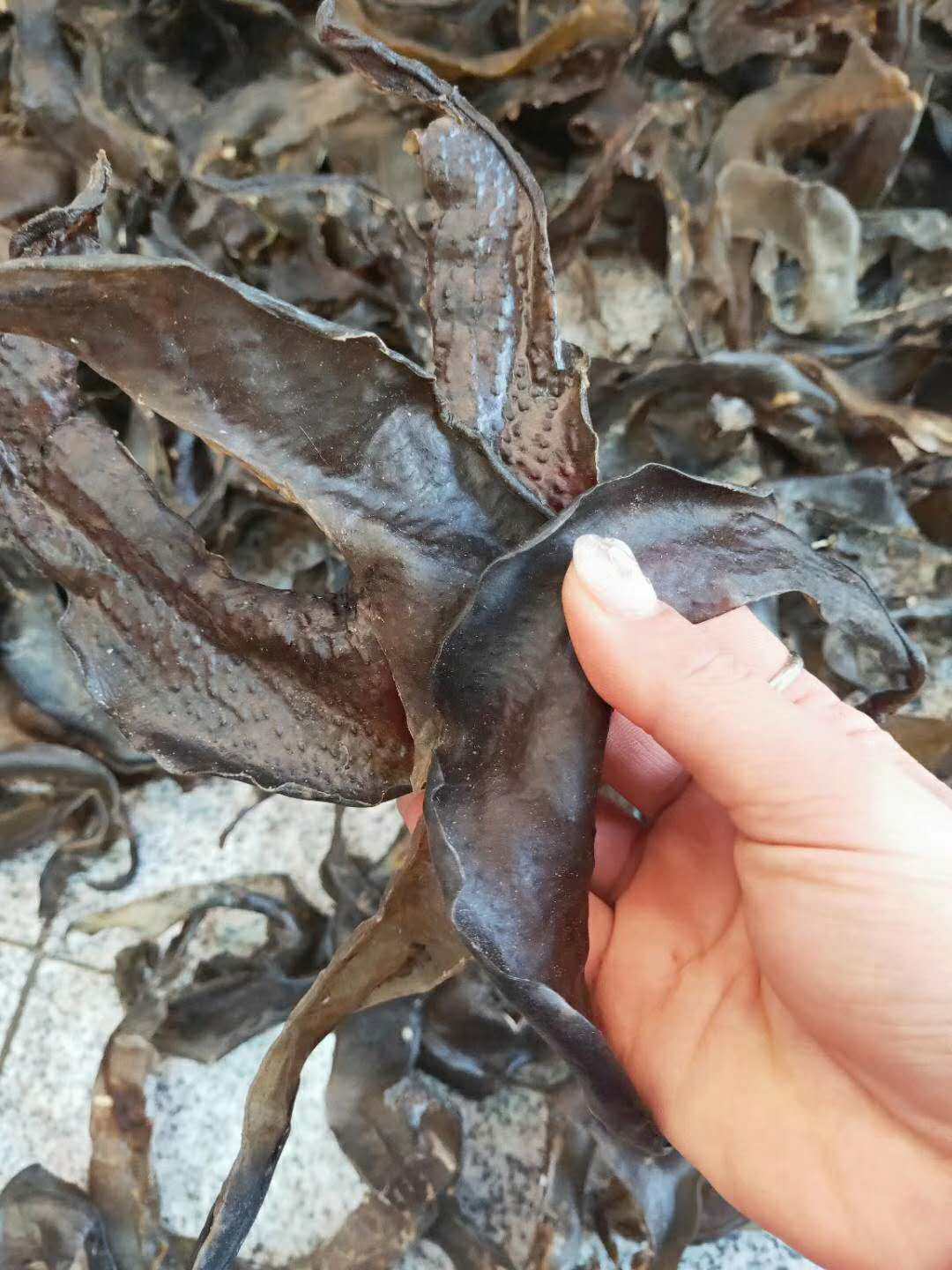 裙边酒店干货大片甲鱼边干一斤装水底板团鱼甲鱼