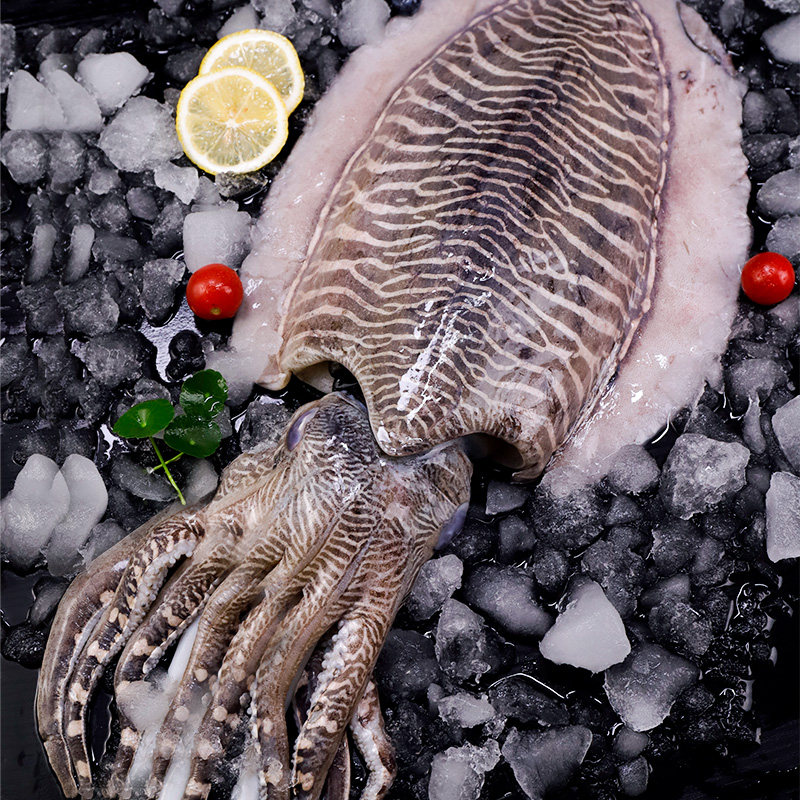 7斤大爆头八爪鱼冷冻墨鱼