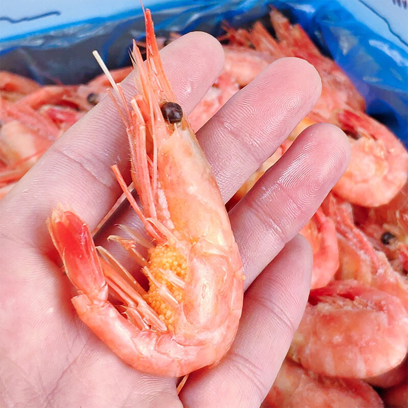 北极丹麦进口北极熊冰虾熟冻甜虾虾刺身即食海冻虾