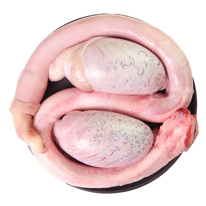 新鲜牛鞭男用农家散养黄牛鞭牛肉牛三宝牛蛋非冷冻生牛鞭整套2斤